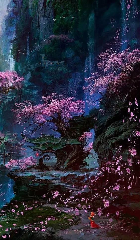 小猫钓鱼正版下载中文版